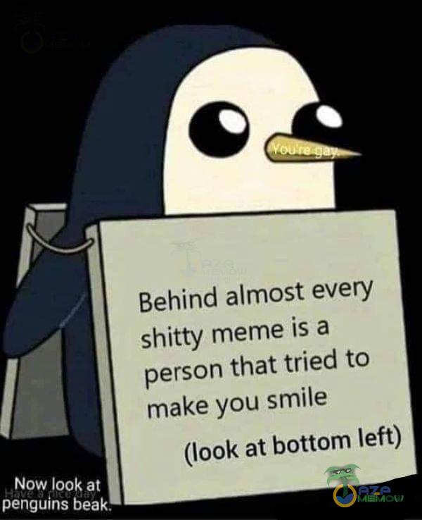 Behind almost every shitty meme is a person that tried to make you smile (look at bottom left) Vow look at nguins beak.