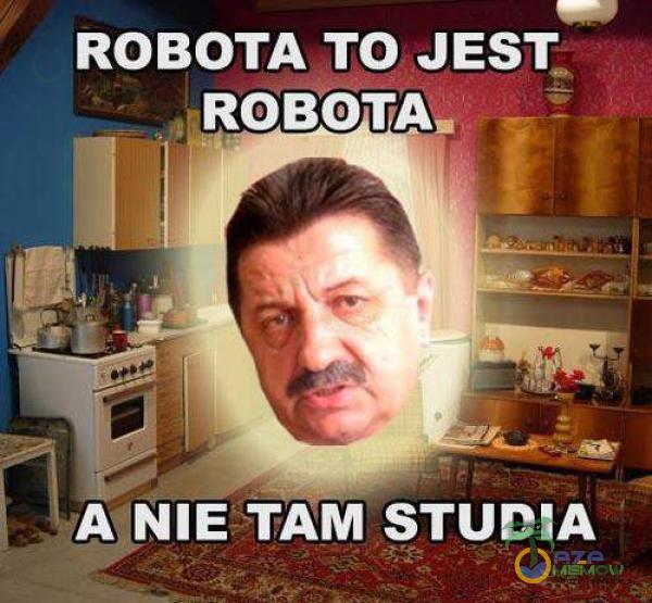 ROBOTA TO JEST. ROBOTA. A NIE TAM STUDIA