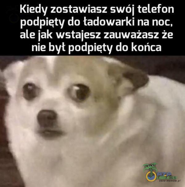 Kiedy zostawiasz swój telefon podpięty do ładowarki na noc. ale iak wstalesz zauważasz że nie był podpięty do końca