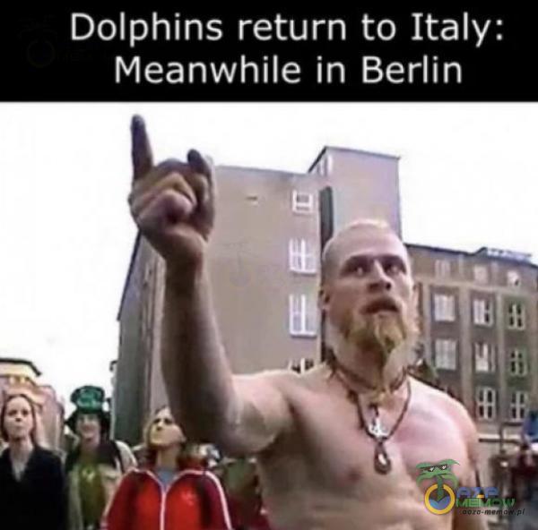 Dolphins return to Italy: Meanwhile in Berlin