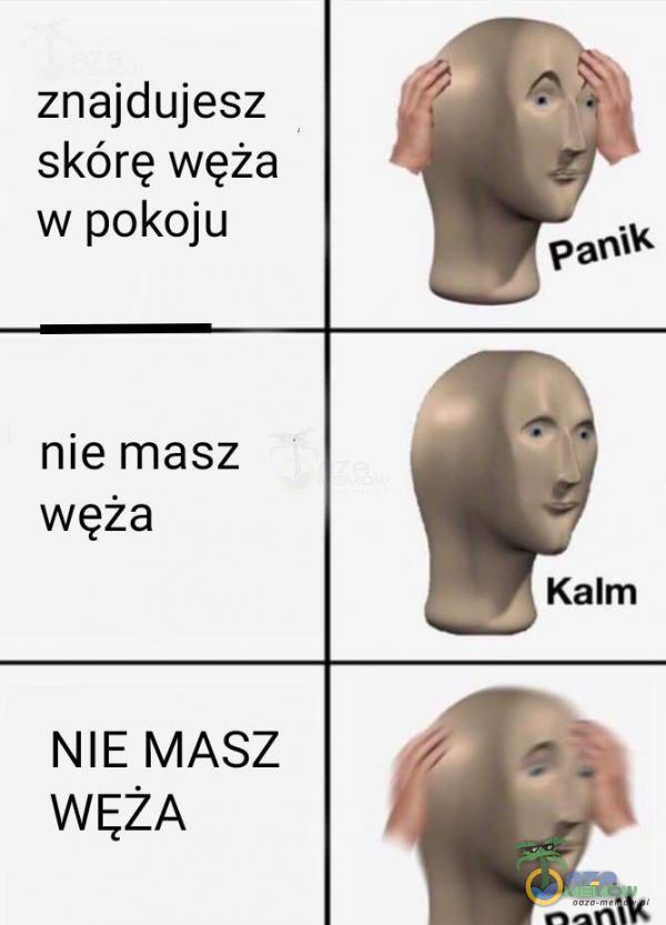 znajdujesz skórę węża w pokoju nie masz węża NIE MASZ WĘŻA