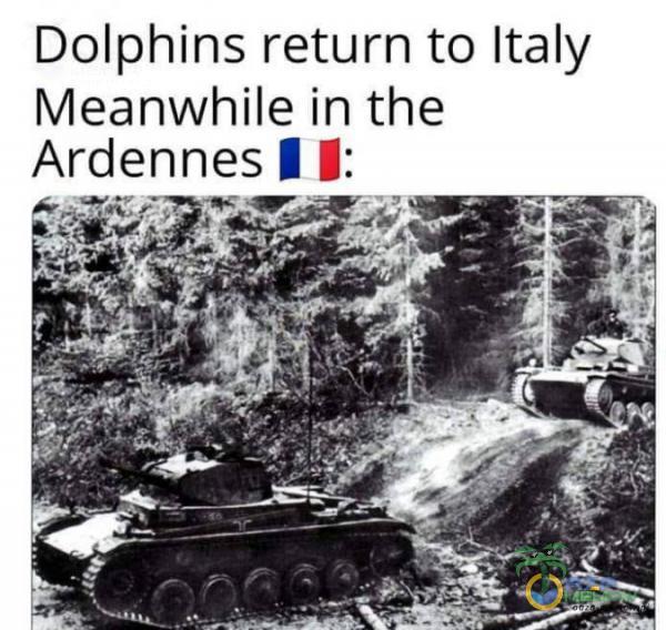 Dolphins return to Italy Meanwhile in the Ardennes HB: