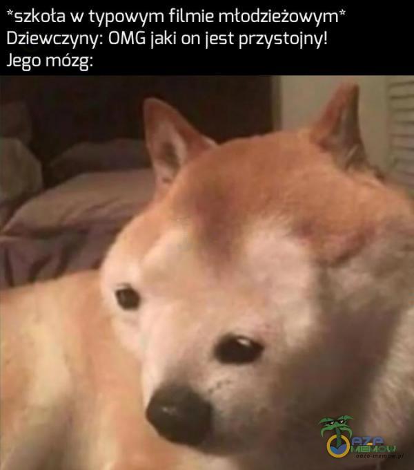 *szkoła w typowym filmie młndzieżowx/W Dziewczyny: GMG [aki on [at przysminy! Jego mózg: