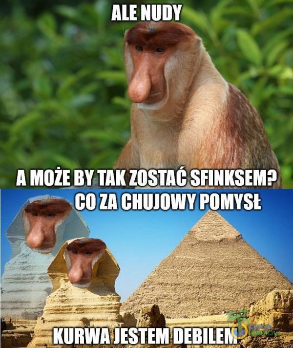 ALE CO ZA CH***WY POMYSI