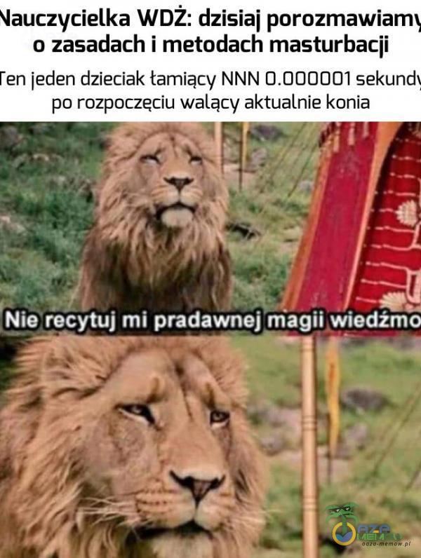 Codziennie tylko śmieszne memy, pasty, gify, suchary i filmy - przeglądaj, komentuj, dodawaj własne!