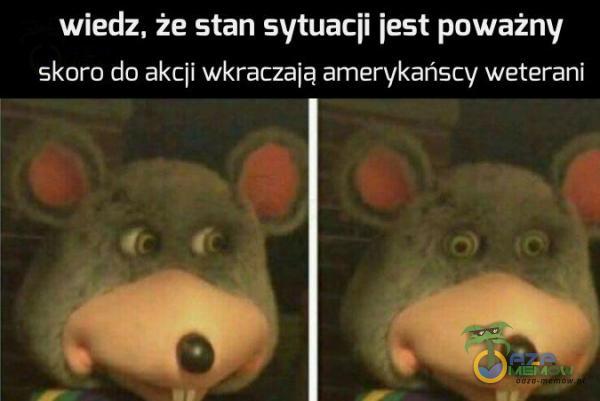 wiedz, że stan sytuacji jest poważny skoro da akcji wkraczają amerykańscy weterani