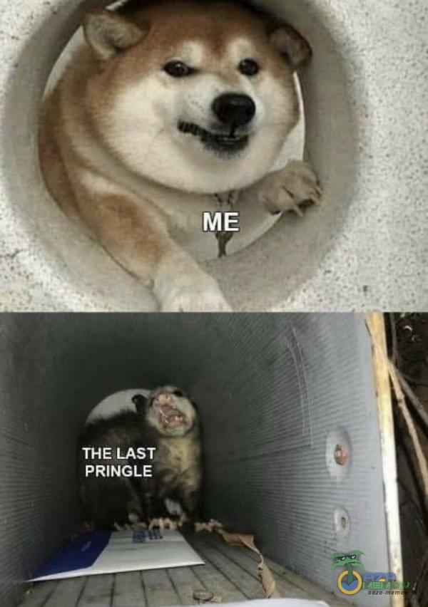 ME THE LAST PRINGLE