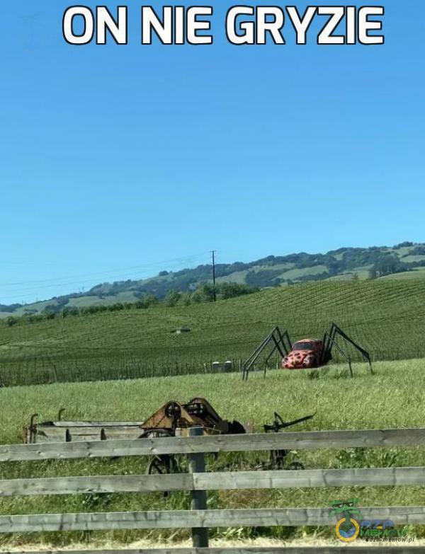 —-=HEFYPAŃKK M: --- 2 zająwk 07 reje znak wz kaśka