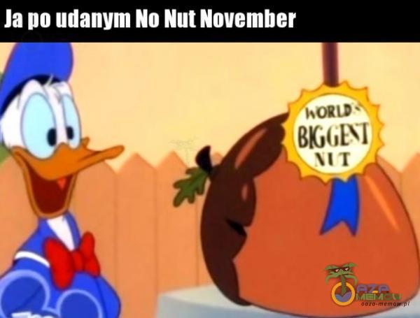 Ja po udanym No Nut November