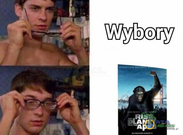 Wybory -APES