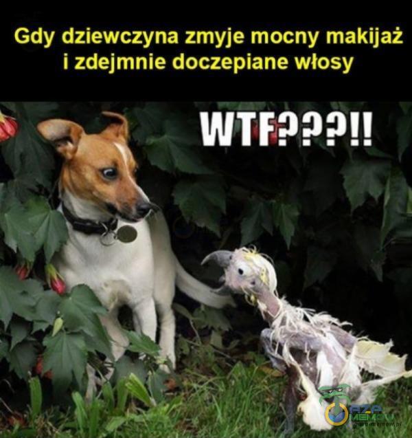 Gdy dziewczyna zmyje mocny makijaż i zdejmnie doczepiane włosy WTF???!!