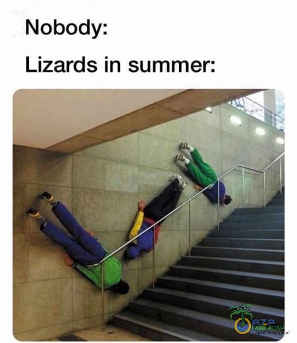 Nobody: Lizards in summer: