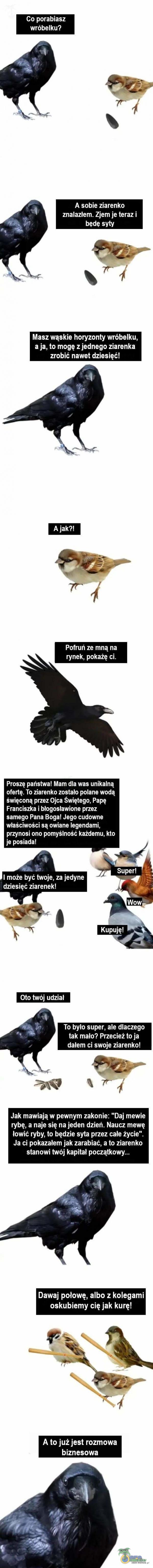  Co porabiasz wróbelku? A sobie ziarenko znalazłem. Zjem je terazi będę syty Masz wąskie horyzonty wróbelku, aja, to mogę z jednego ziaranka 4o TRLr Pofruń ze mną na rynek, pokażę ci. Proszę państwa! Mamidla was unikalną TRR OP4 OW Io...