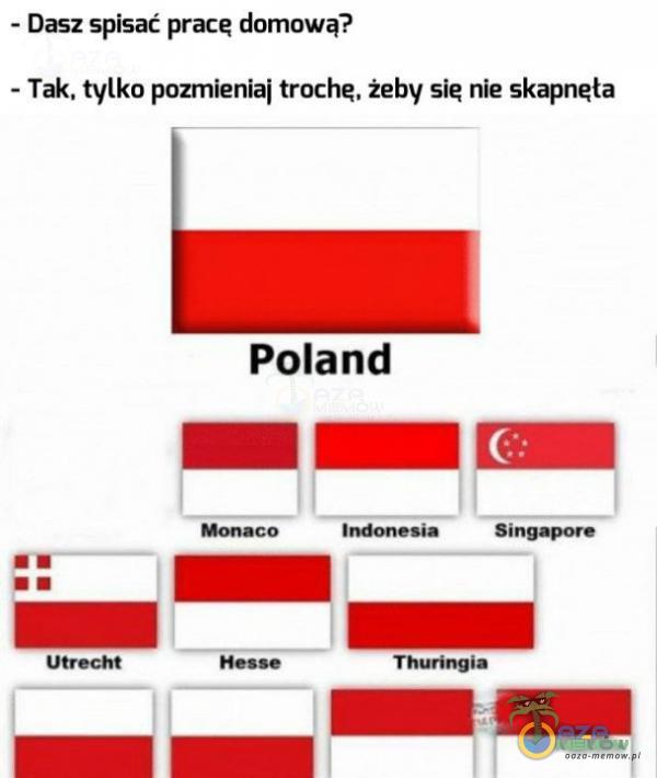 - Dasz spisać prace domową? - Tak, tylko pozmieniaj trochę, żeby sie nie skapnęła Poland II Singapore Utrecht