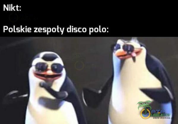 Nikt: Polskie zespoły disco pala: