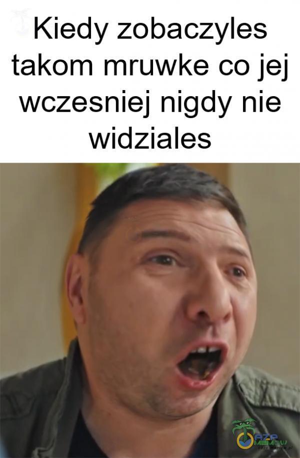 Kiedy zobaczyles takom mruwke co jej wczesniej nigdy nie widziales