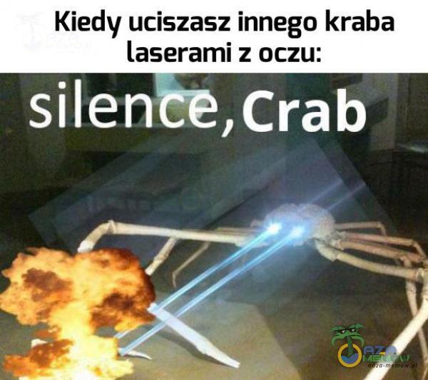 Kiedy uciszasz innego kraba laserami : nczu: