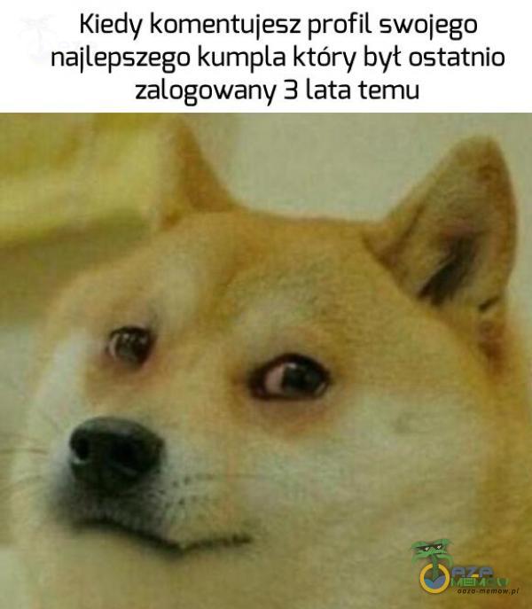 Kieciy komentujesz profilswojego najlepszego kuma który był ostatnio zalogowany 3 lata temu