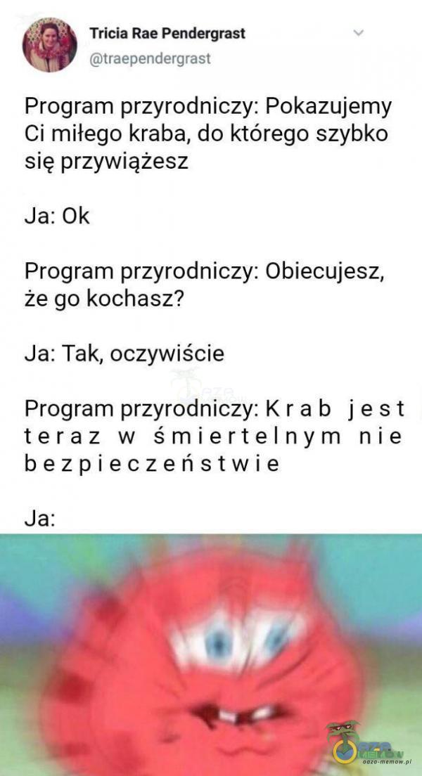  ledn Rie Pendergn st .? vsewwvujecgnlsn Program przyrodniczy: Pokazujemy Ci miłego kraba,. do którego „szybko się prz ywiżąfzesz Ja: Ok Program przyrodniczy: obiecujesz, że go kochasz? .Ja: Tak. oczywiście Program przyrodniczy: K ra b j e si...