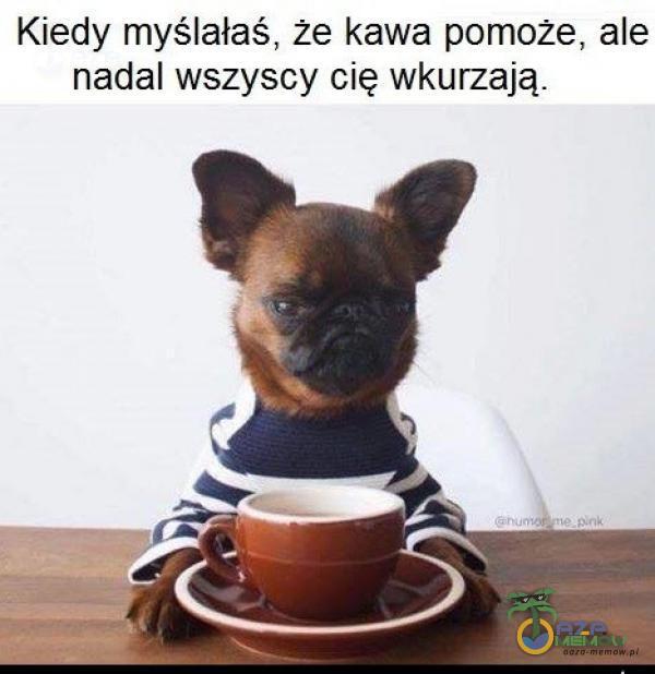 Kiedy myślałaś, Ze kawa pomože, ale nadal wszyscy cię wkurzają.