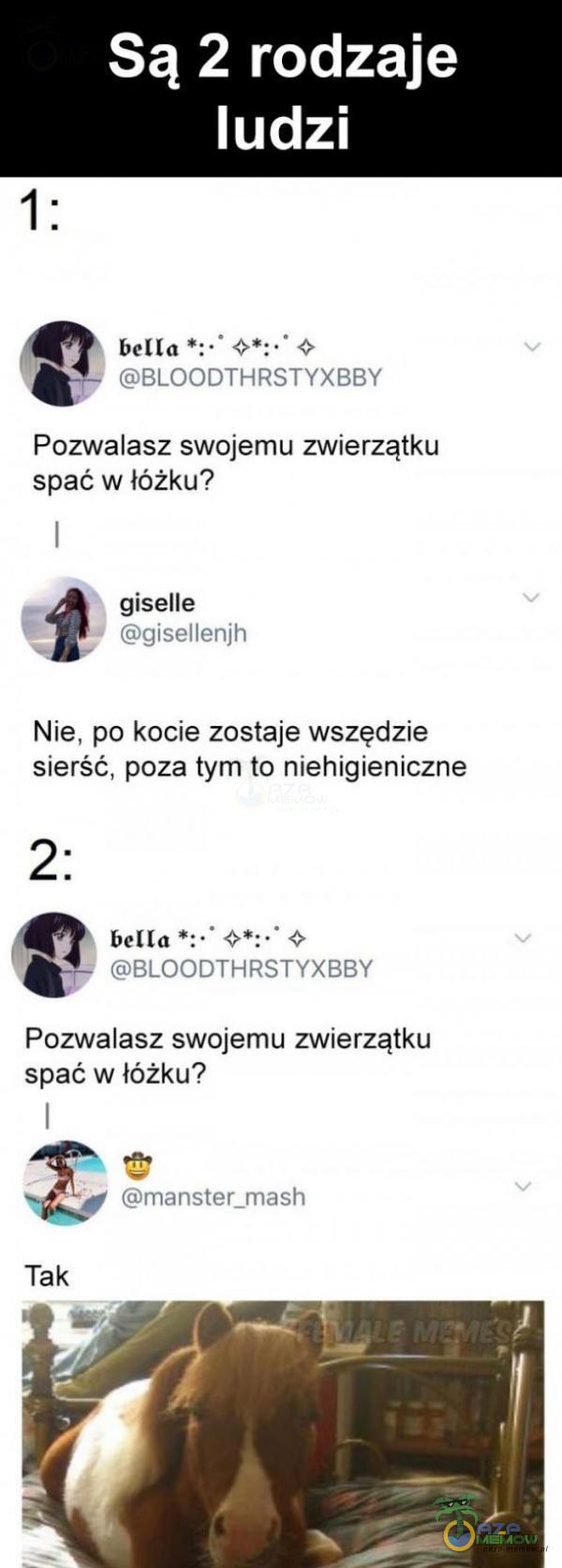  Są 2 rodzaje ludzi bella BLOODTHRSTYXBBY Pozwalasz swojemu zwierzątku spać w łóżku? giselle gisellenjh Nie, po kocie zostaje wszędzie sierść, poza tym to niehigieniczne 2: bella 0*:.• BLOODTHRSTYXBBY Pozwalasz swojemu zwierzątku spać w...