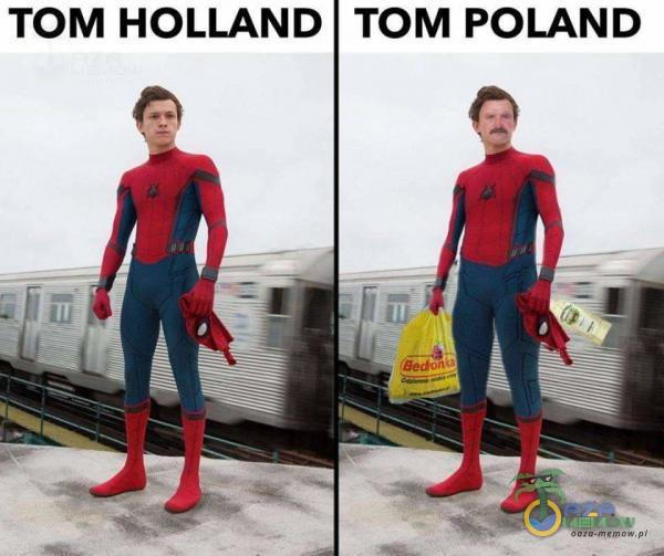 TOM HOLLAND | TOM POLAND