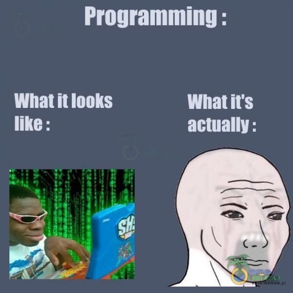 Programming : Whar it looks LLU ICH