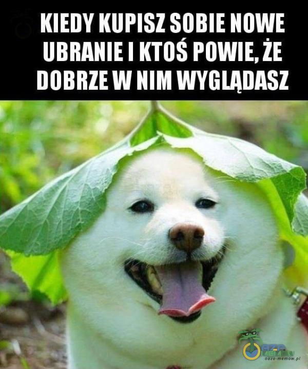 KIEDY KUPISZ SDBIE NOWE llBIłAIlIEI KT IIS I IlWIŁZE IlUBIłIEW IIIM WYGLAHASZ _ h_ . h |... if -: _1 , ”i „ t;