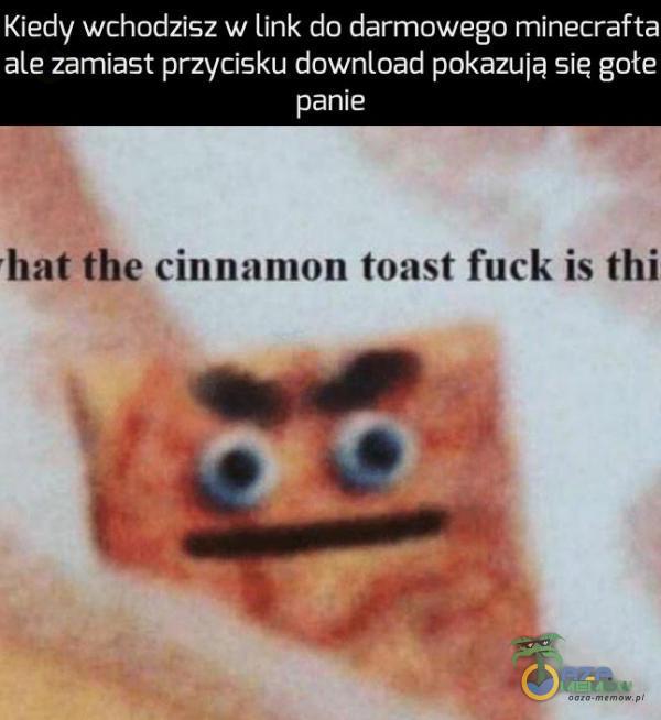 Kiedy wchodzisz w link do darmowego minecrafta ale zamiast przycisku download pokazują sie gołe panie hat the cinnamon toast fuck is thi