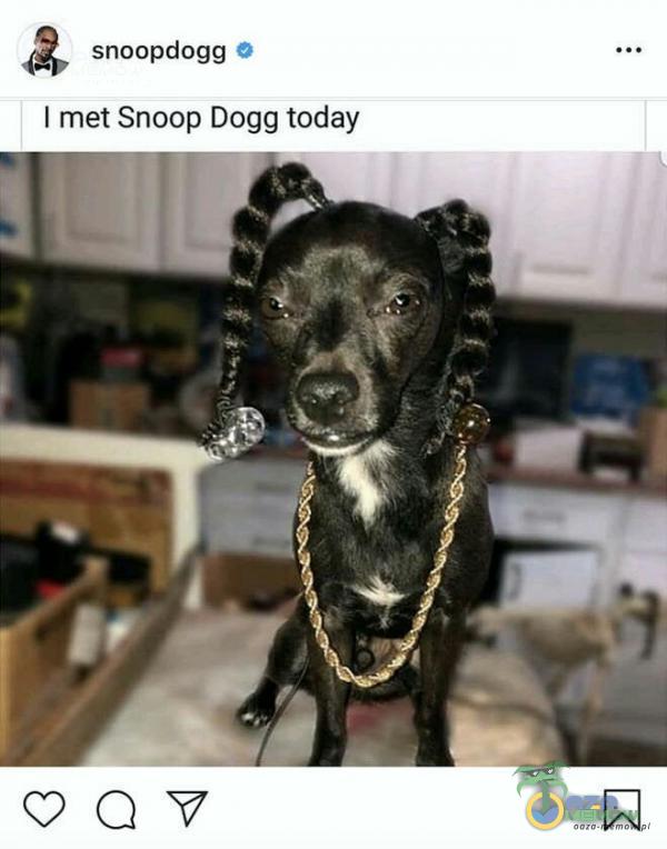 snoopdogg I met Snoop Dogg today
