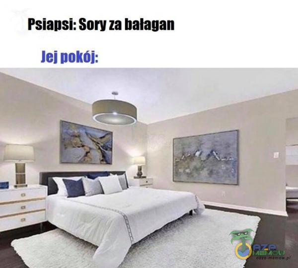 Psiapsi: Sory za bałagan Jej DOkój: