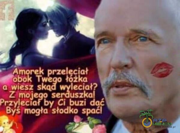 i morek przeleciał a wiesż skąr leciał? Z mojeqo seguszkal Przylecłafby Ci buzi dać Byś mogła słodko spać!