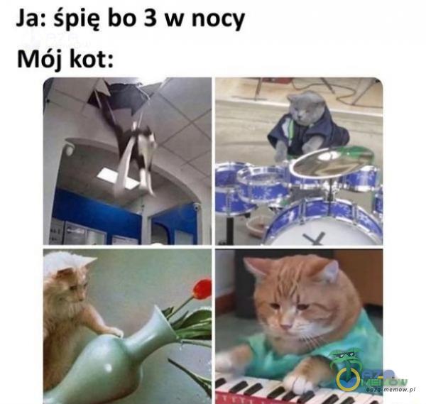 Ja: śpię bo 3 w nocy