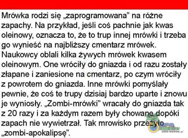  Mrówka rodzi się .,zaprogramowana na różne zapachy. Na przykład, jeśli coś pachnie jak kwas oleinowy. oznacza to, że to tmp innej mrówki i trzeba go wynieść na najbliższy cmemarz mrówek. Naukowcy oblali kilka żywych mrówek kwasem...