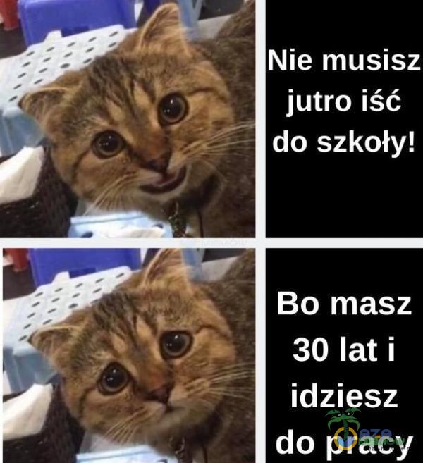 Nie musisz jutro iść do szkoły! Bo masz 30 lat i idziesz do pracy