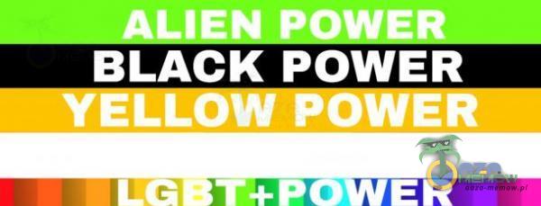 BLACK POWER T+POWER