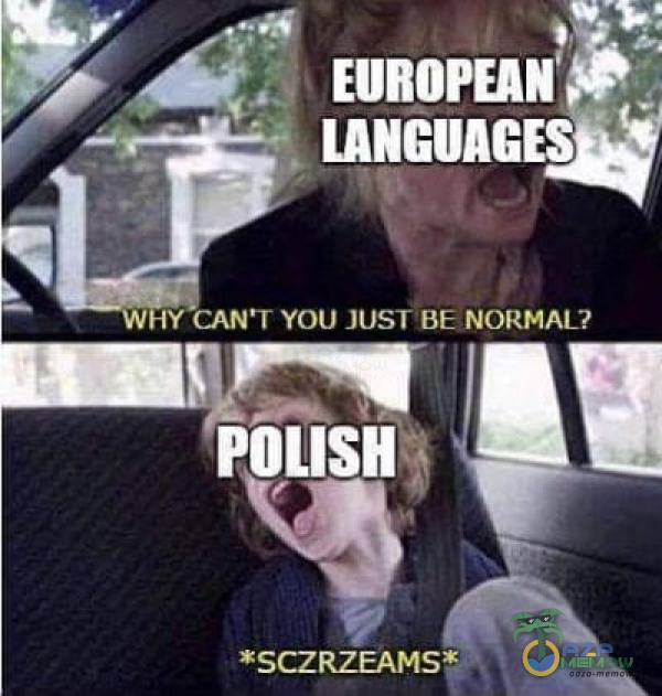 EUROPEAN LANGUAGES wny CANT YOU JUST BE NORMAL? POLISH