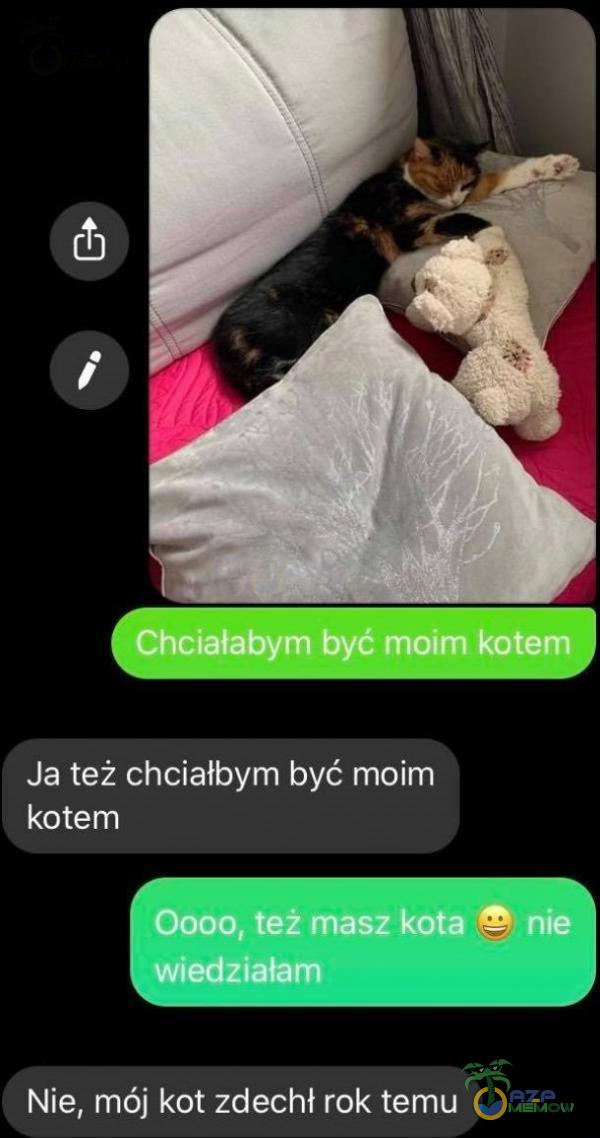 Chciałabym być moim kotem Ja też chciałbym być moim kotem 0000, też masz kota ;nie wiedziałam Nie, mój kot zdechł rok temu