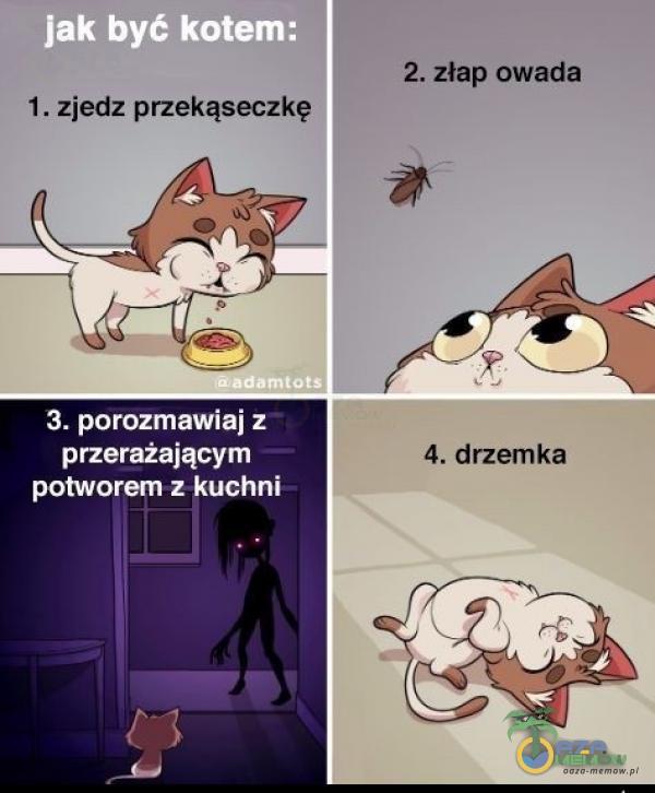 jak być kotem: 1. zjedz przekąseczkę 3. porozmawiaj z przerażającym — potworem z kuchni 2. złap owada 4. drzemka