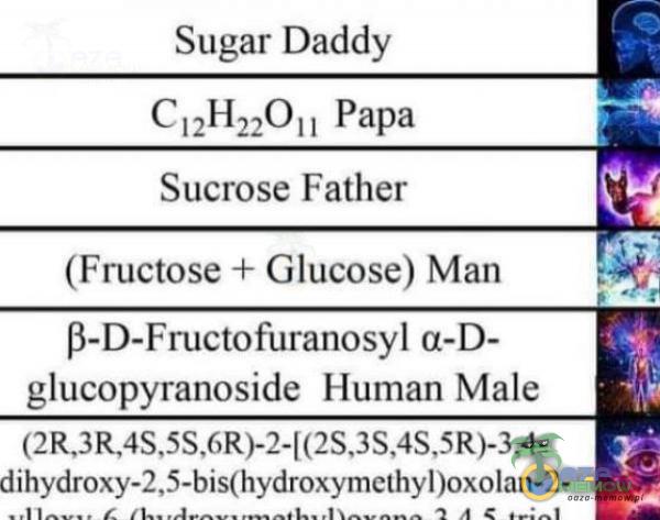 Sugar Daddy cł2H22011 Papa Sucrose Father (Fructose + Glucose) Man P-D-Fructofuranosyl a-D- glucopyranoside Human Małe dihydroxy-2,5-bis(hydroxymethyl)oxolan-2-