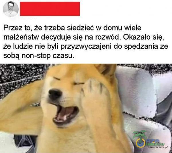 e | Przez to, że trzeba siedzieć w domu wiele małżeństw decyduje się na rozwód. Okazało się, że ludzie nie byli przyzwyczajeni do spędzania ze sobą non-stop czasu. i = jp 2—