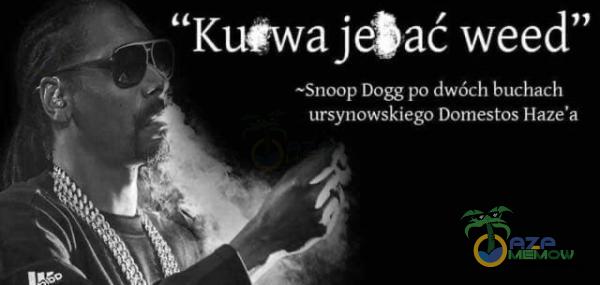 Ku$wajeôać weed” —Snoop Dogg po dwóch buchach ursynowskiego Domestos Haze a