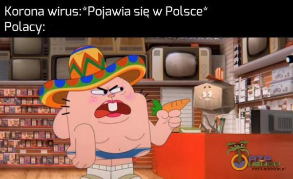 Korona wirus:*Pojawia się w Polsce* Polacy: