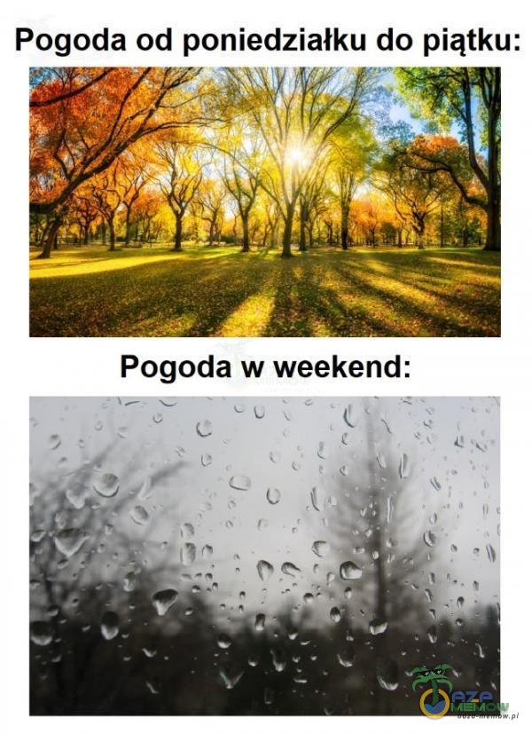 Pogoda od poniedziałku do piątku: Pogoda w weekend: