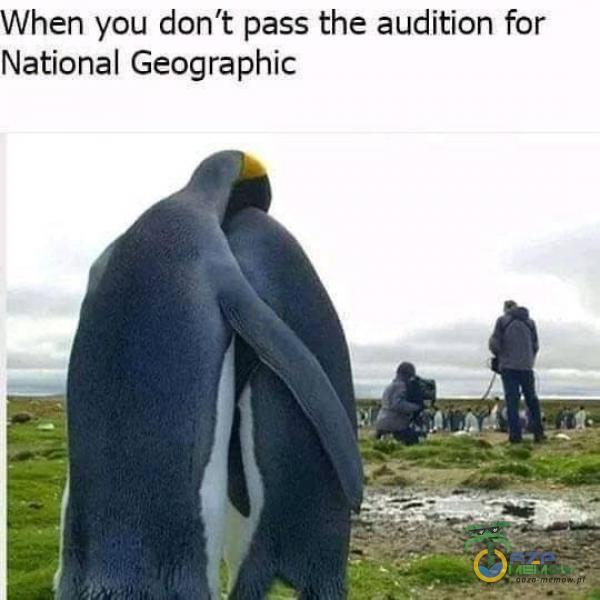 When you don t pass the audition for National Geographic