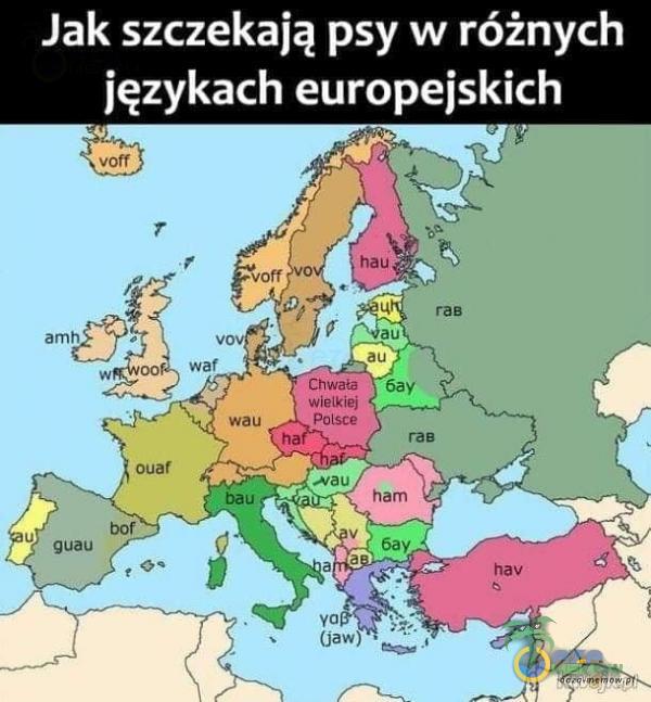 Jak szczekają psy w różnych językach europejskich amh Waka wielkiej Polsce wau ha bau bor guau (jaw) raB au 6aV rag ham 6ay hav