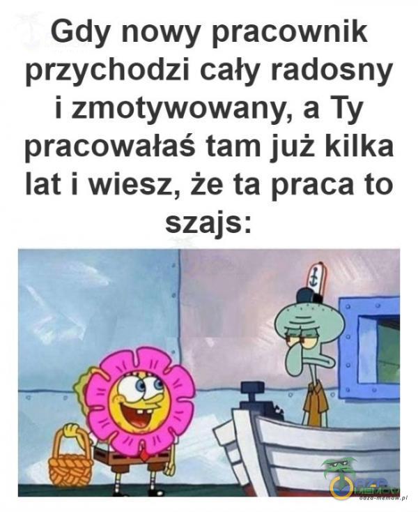 Gdy nowy pracownik przychodzi cały radosny i zmotywowany, a Ty pracowałaś tam już kilka lat i wiesz, że ta praca to szajs: