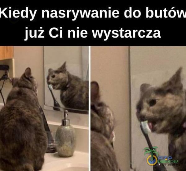 Kiedy nasrywanie do butów już Ci nie wystarcza