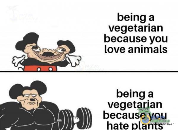 being a vegetarian because you love animals being a vegetarian because you hate ants