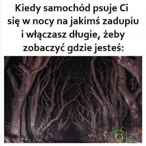 Kiedy samochód psuje Ci się w nocy na jakimś zadupiu i włączasz długie, żeby zobaczyć gdzie jesteś: